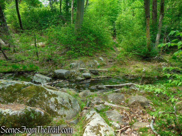 Stream crossing - White Bar Trail - Harriman State Park
