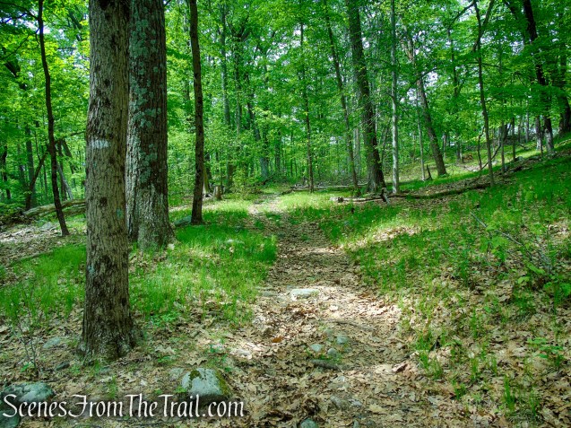 White Bar Trail - Harriman State Park
