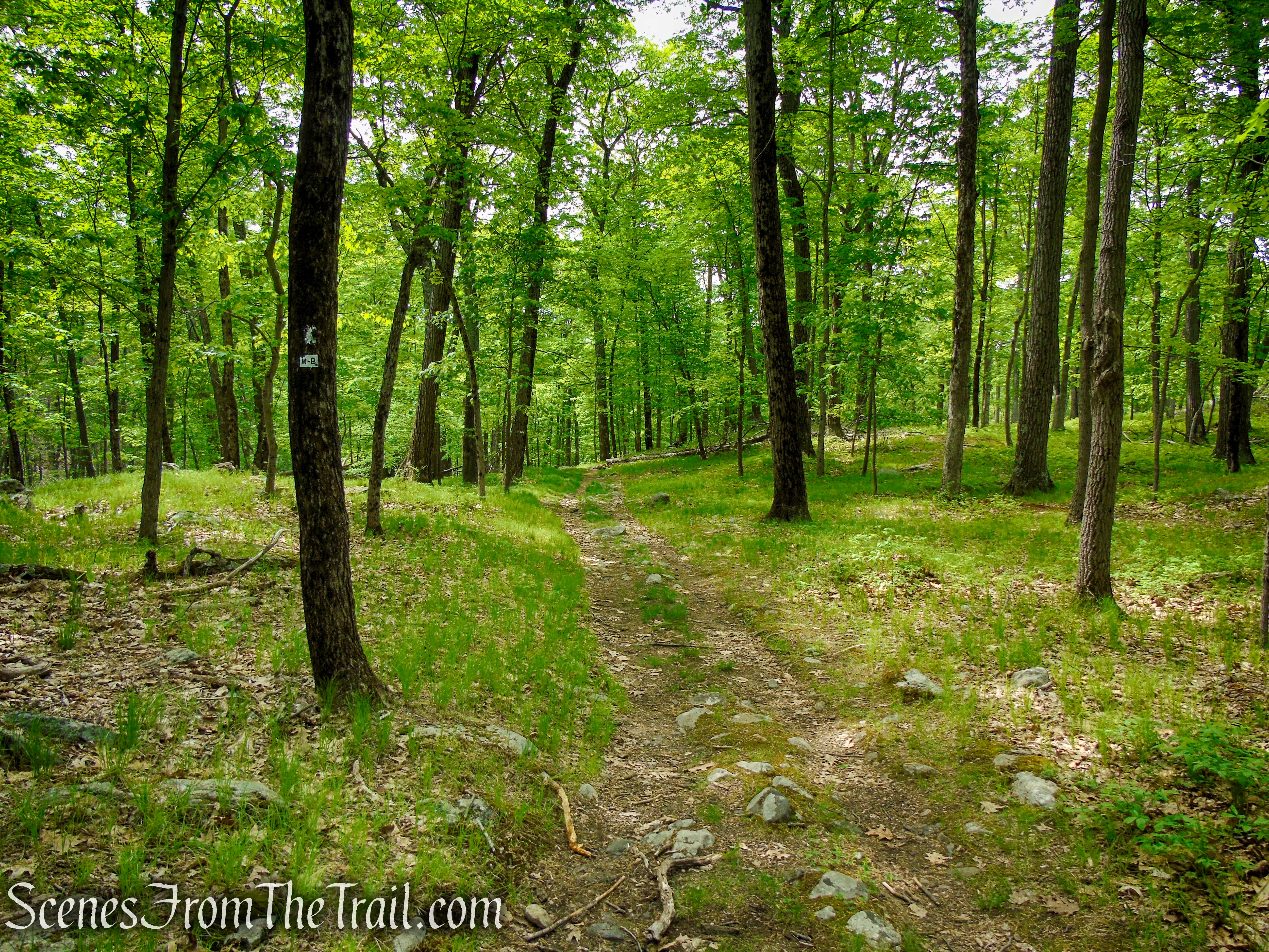 White Bar Trail - Harriman State Park