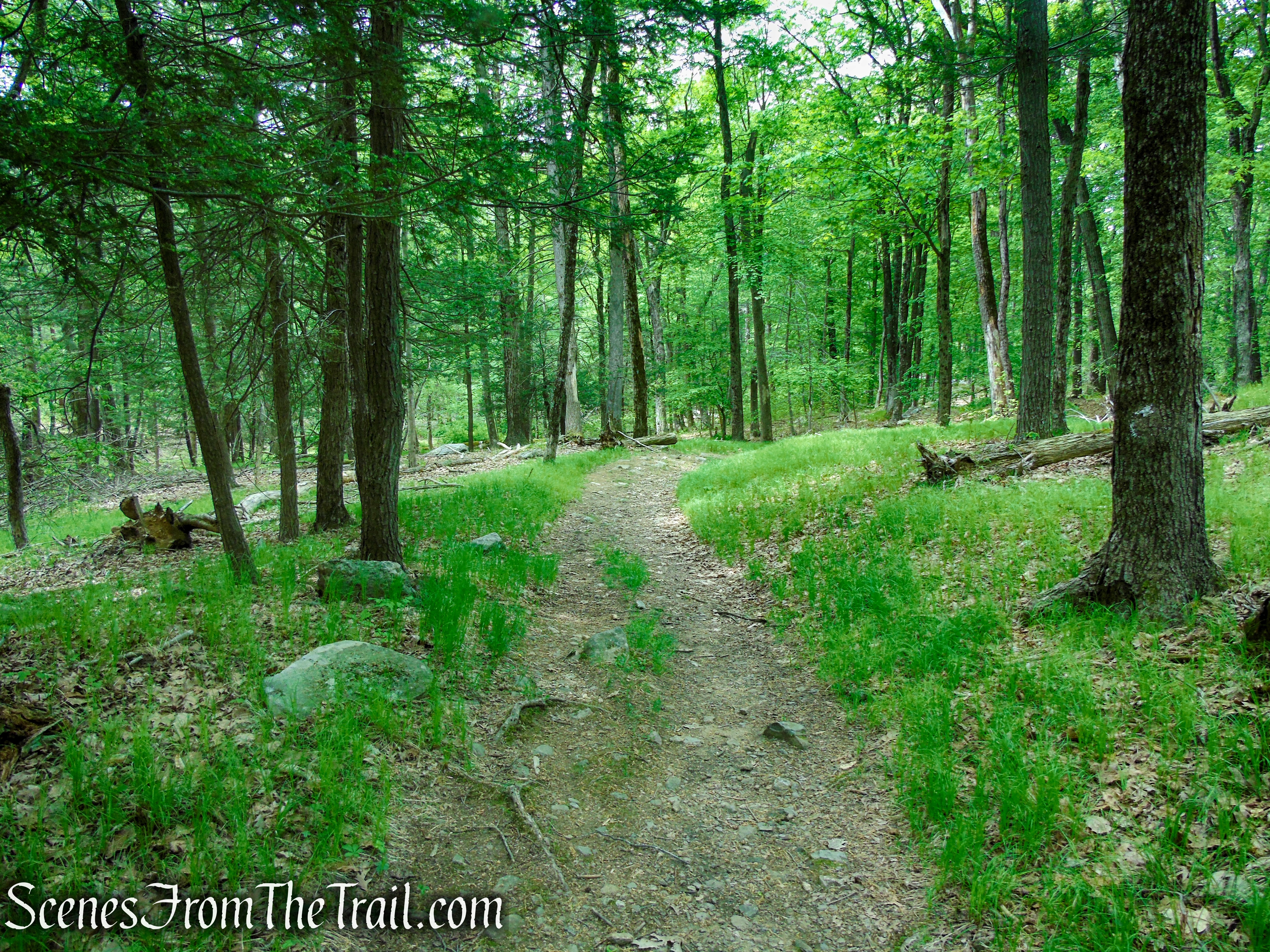 White Bar Trail - Harriman State Park