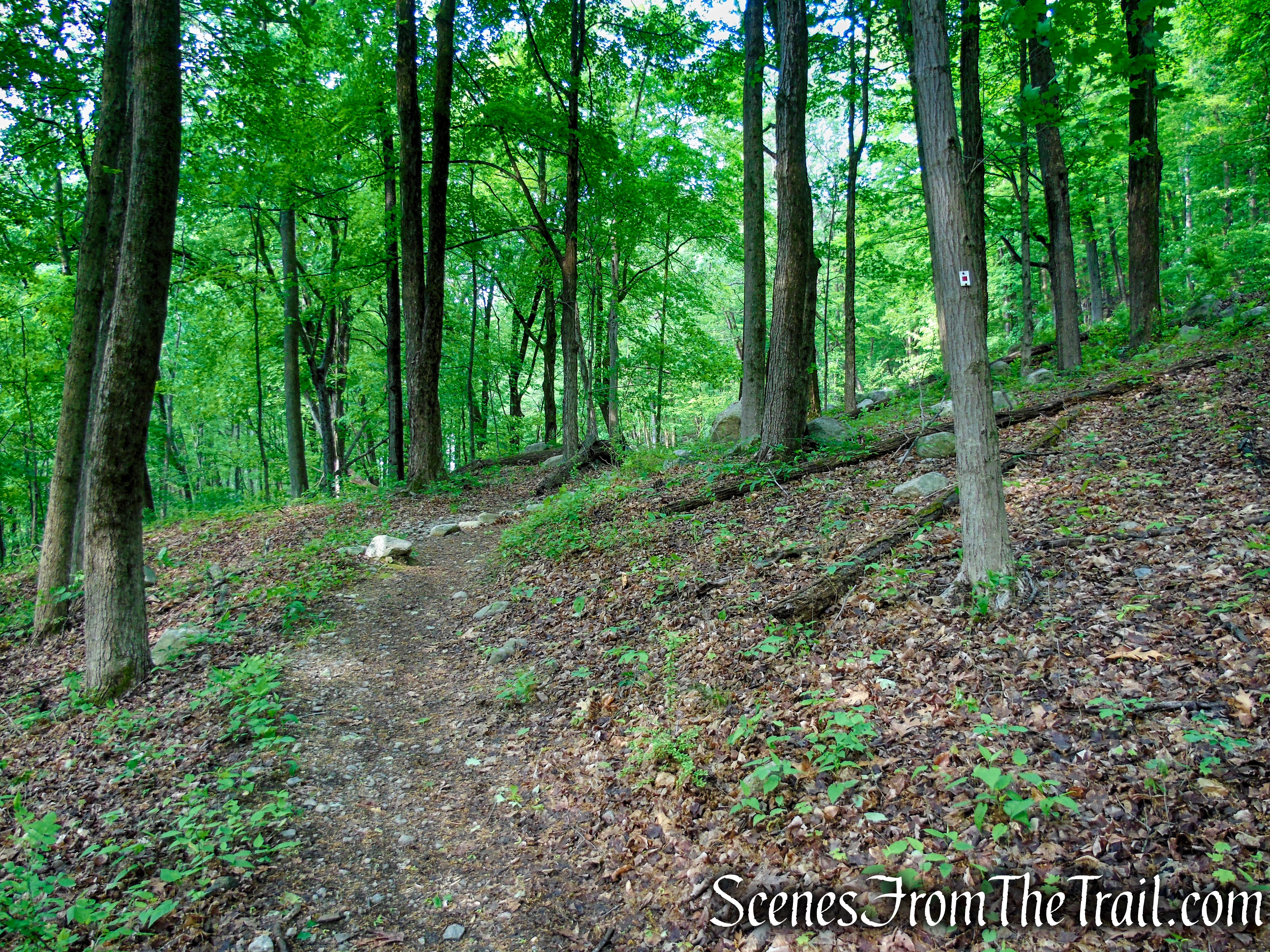 Pine Meadow Trail - Harriman State Park