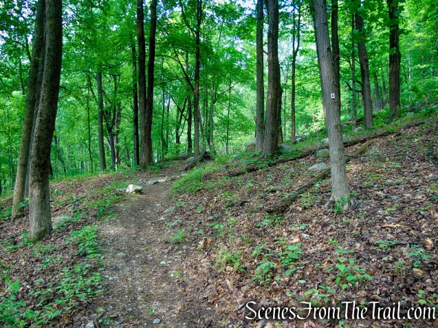 Pine Meadow Trail - Harriman State Park