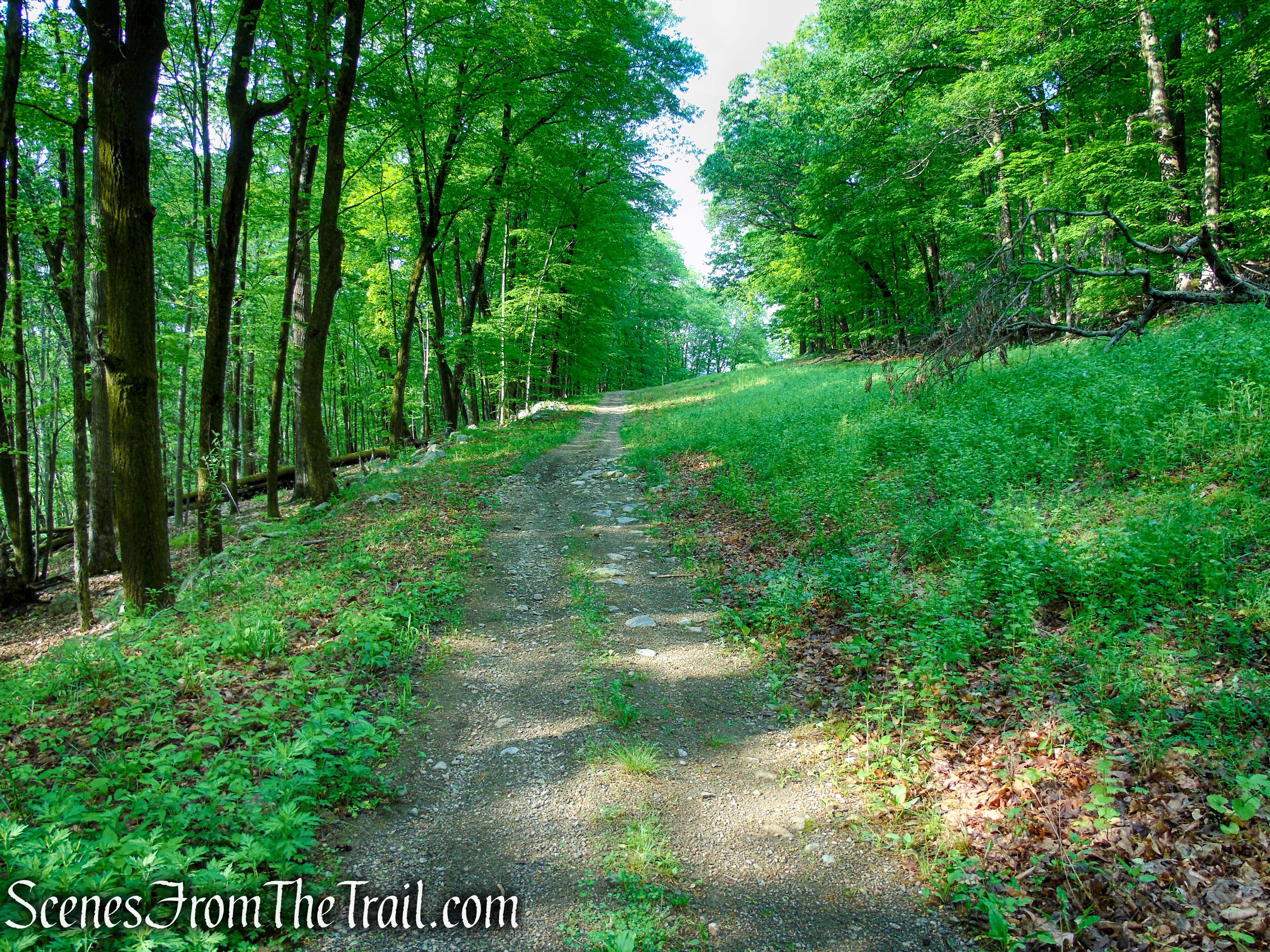 Sherwood Path - Harriman State Park