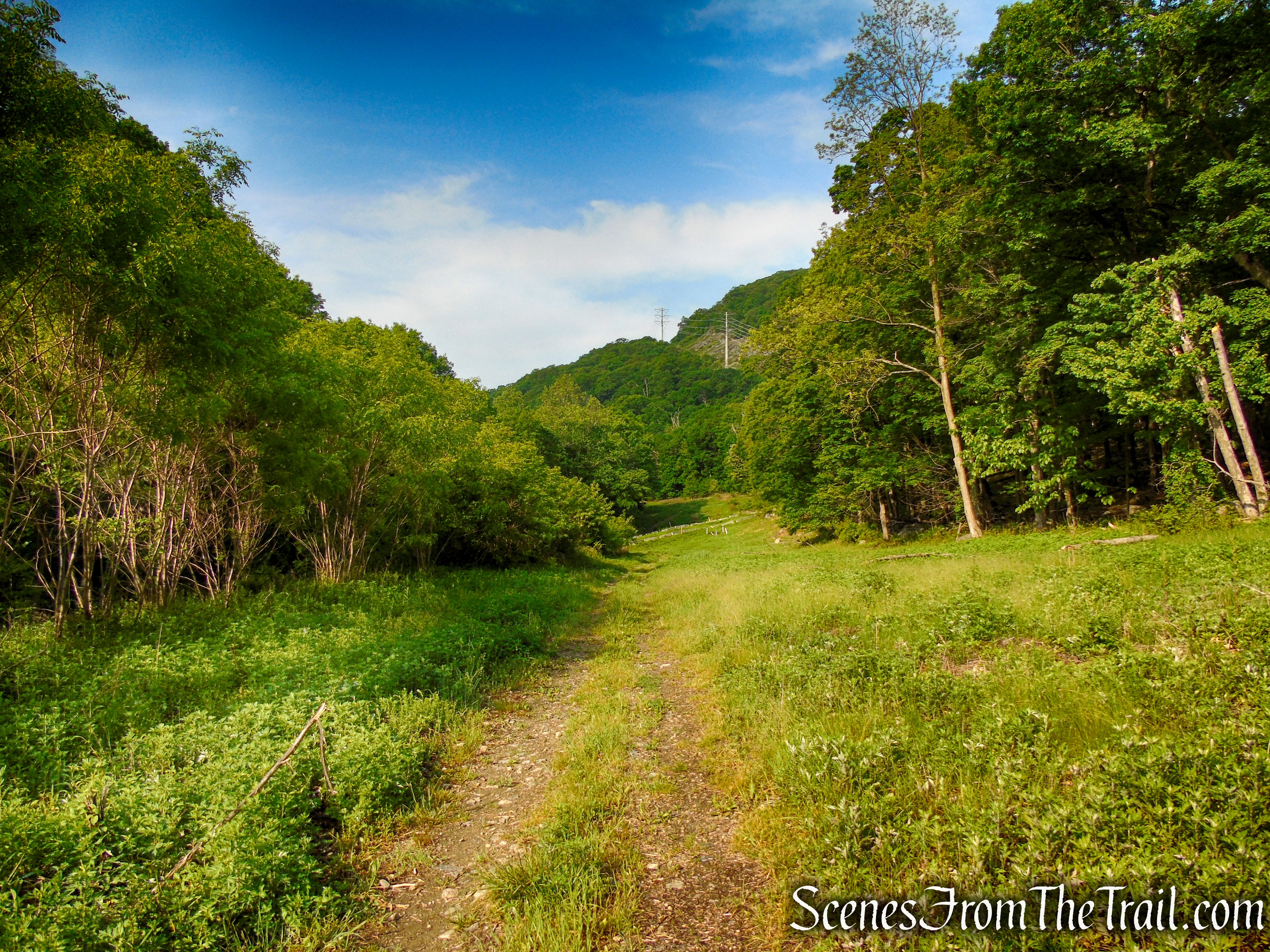 Sherwood Path - Harriman State Park
