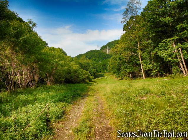 Sherwood Path - Harriman State Park