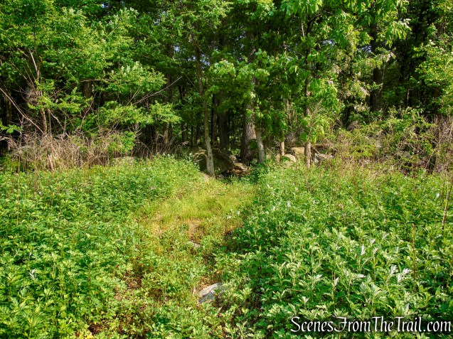 Sherwood Path - Harriman State Park