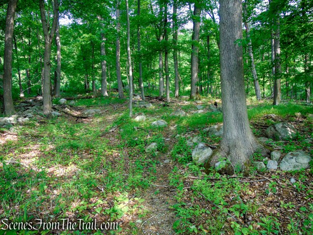 Sherwood Path - Harriman State Park