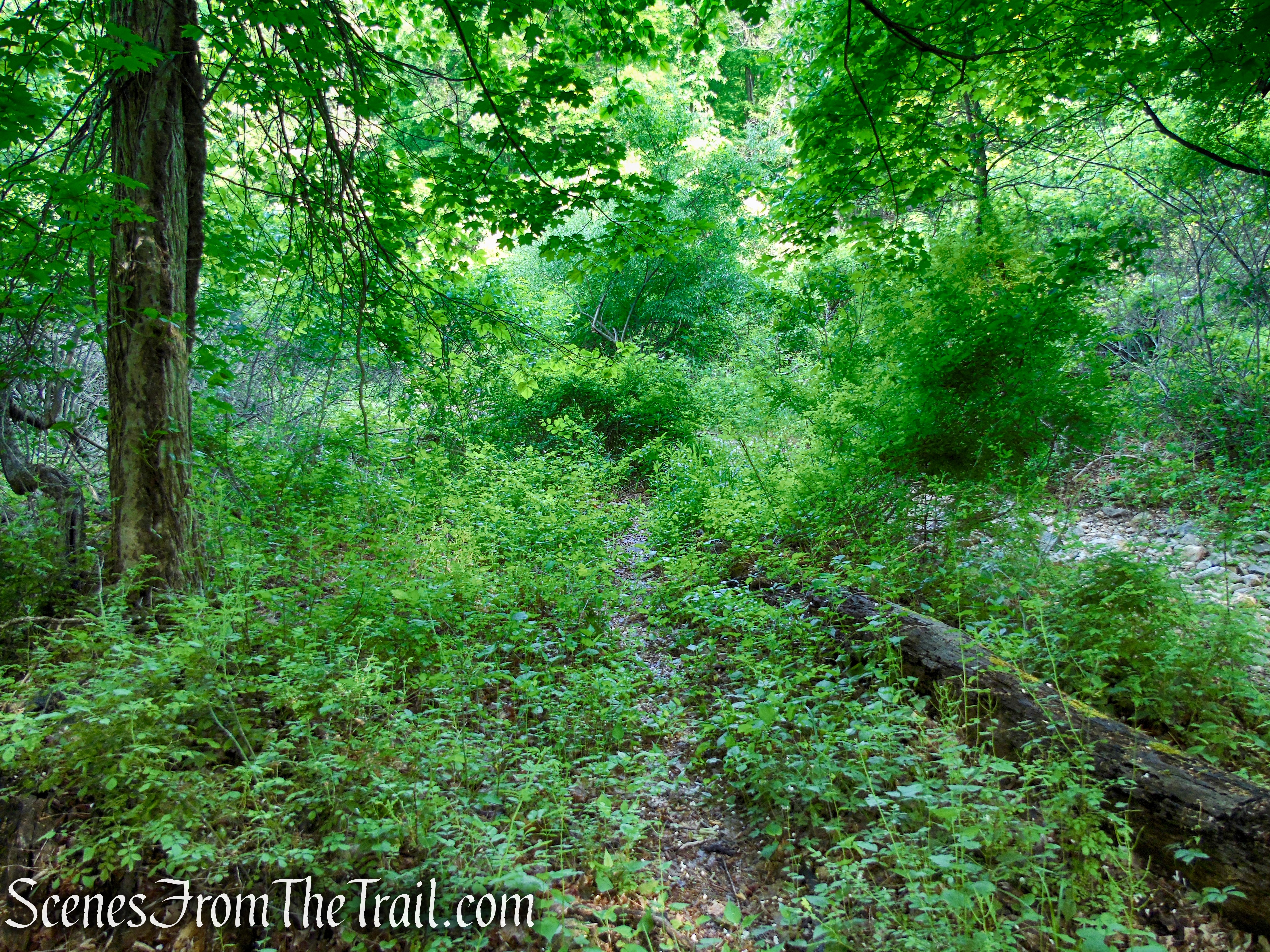 Sherwood Path - Harriman State Park