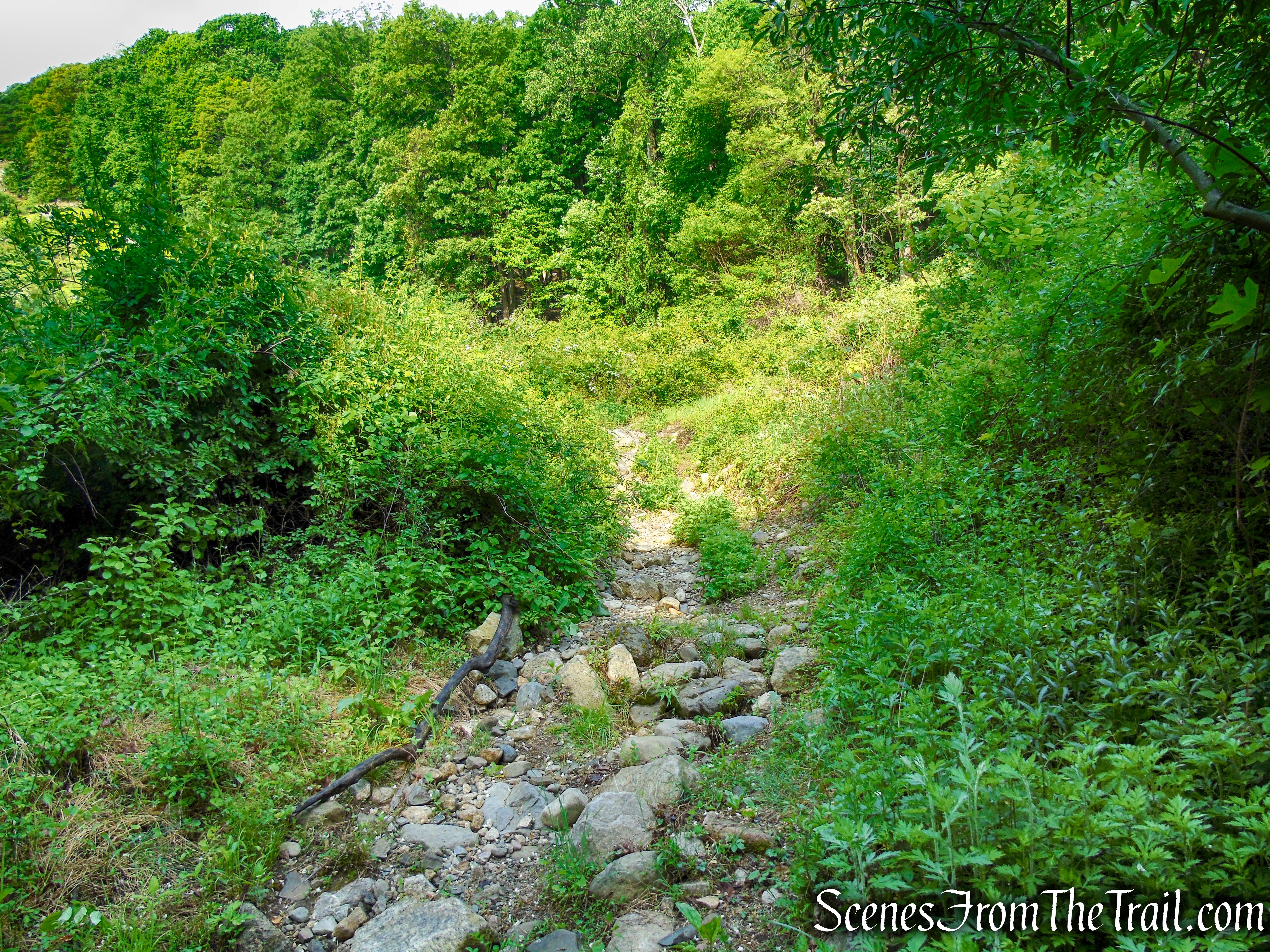 Sherwood Path - Harriman State Park