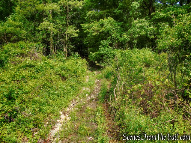Sherwood Path - Harriman State Park