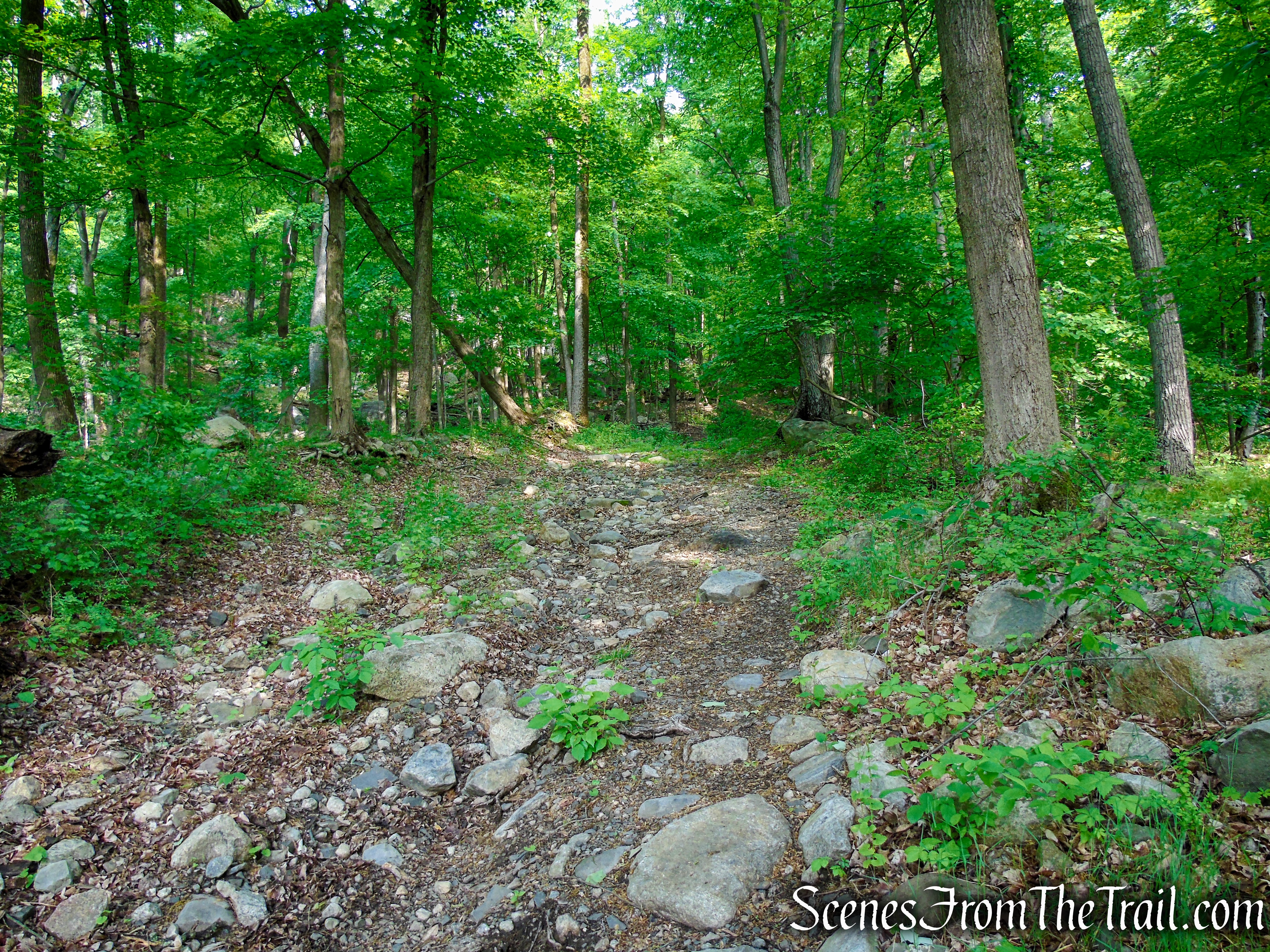 Sherwood Path - Harriman State Park