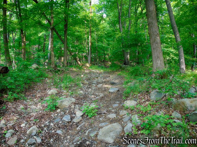 Sherwood Path - Harriman State Park