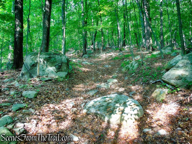 Sherwood Path - Harriman State Park