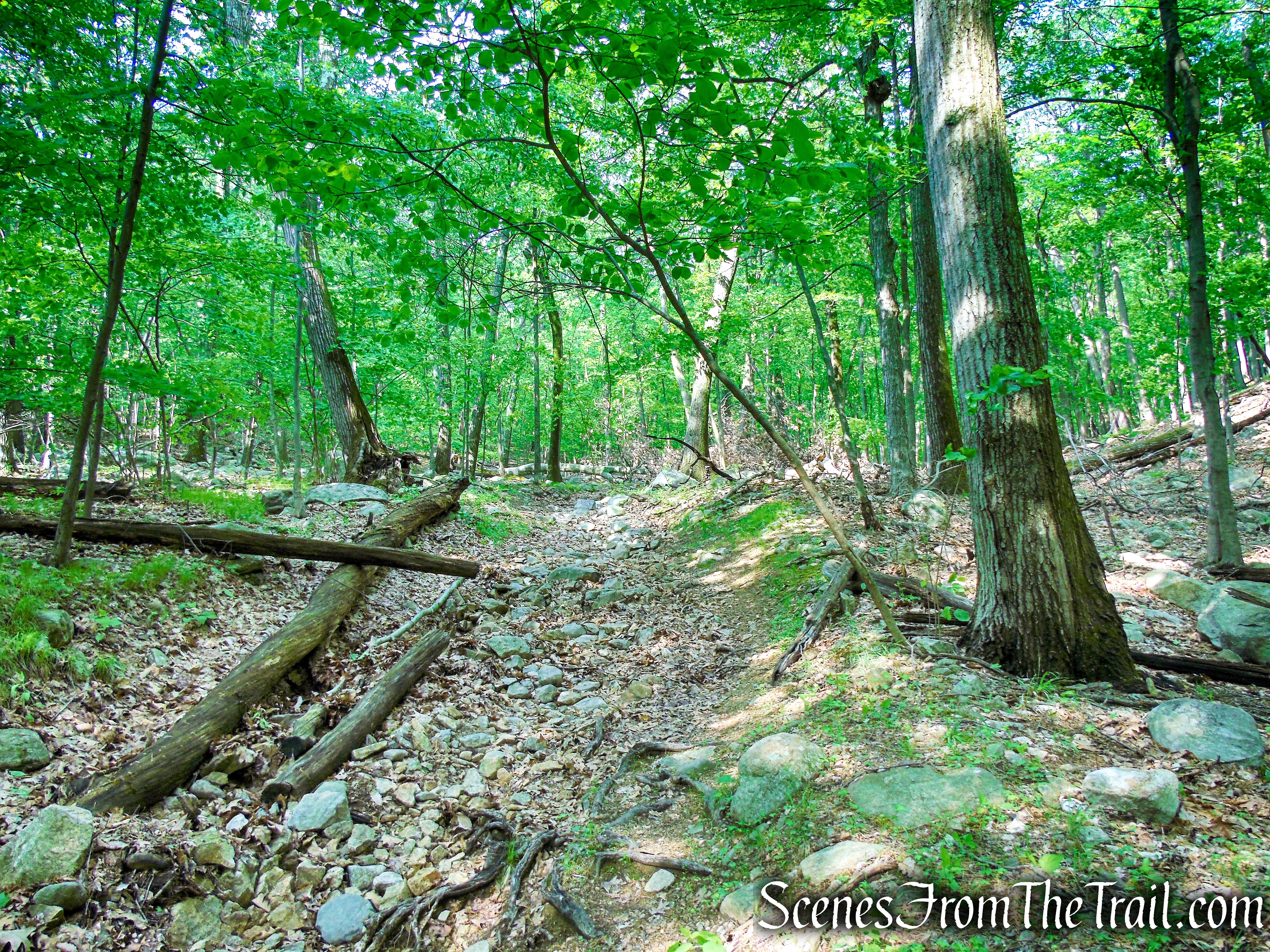Sherwood Path - Harriman State Park