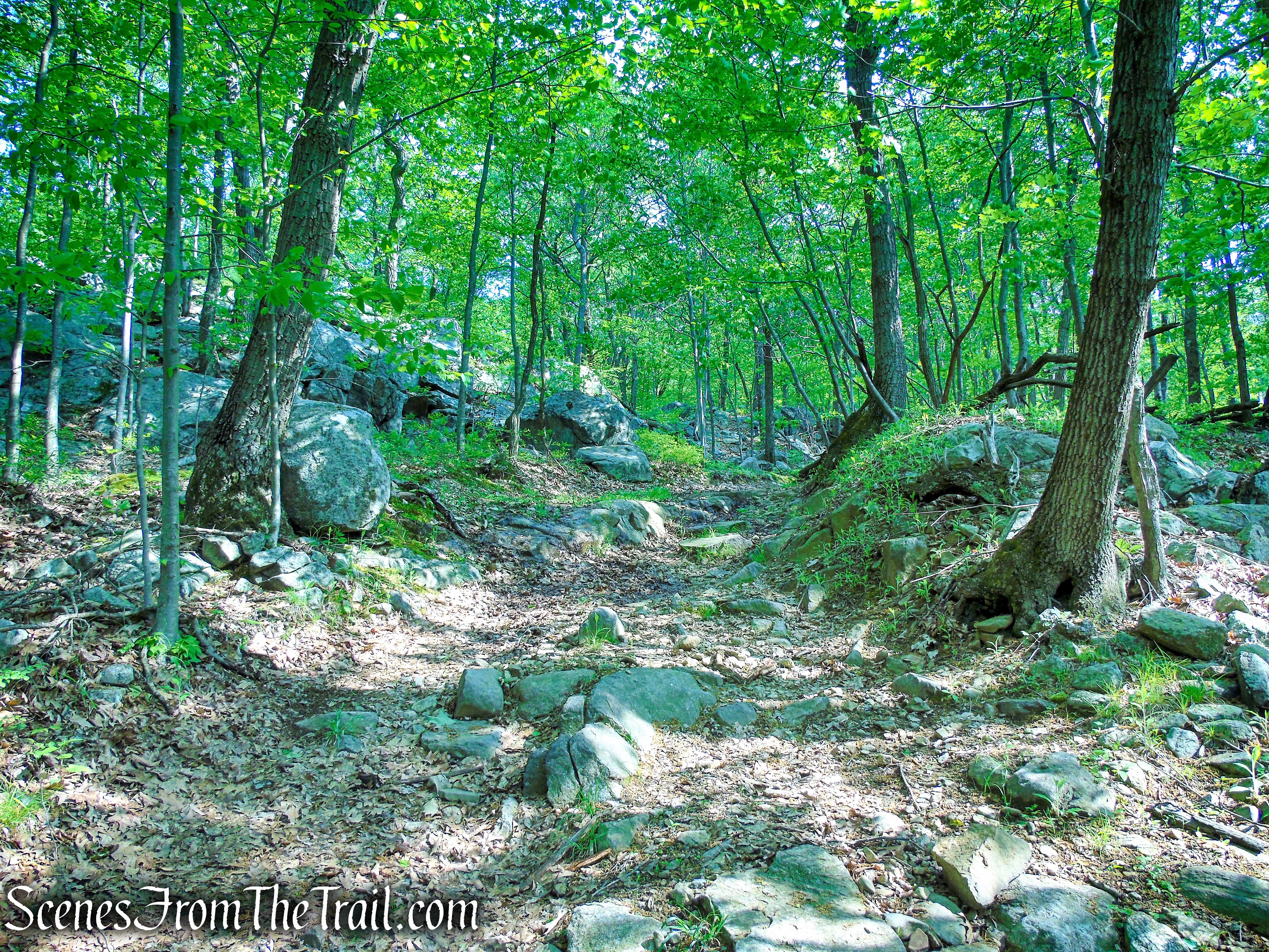 Sherwood Path - Harriman State Park