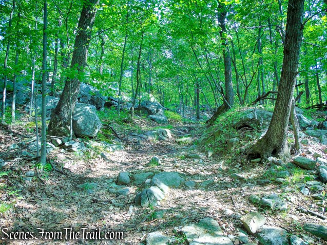 Sherwood Path - Harriman State Park