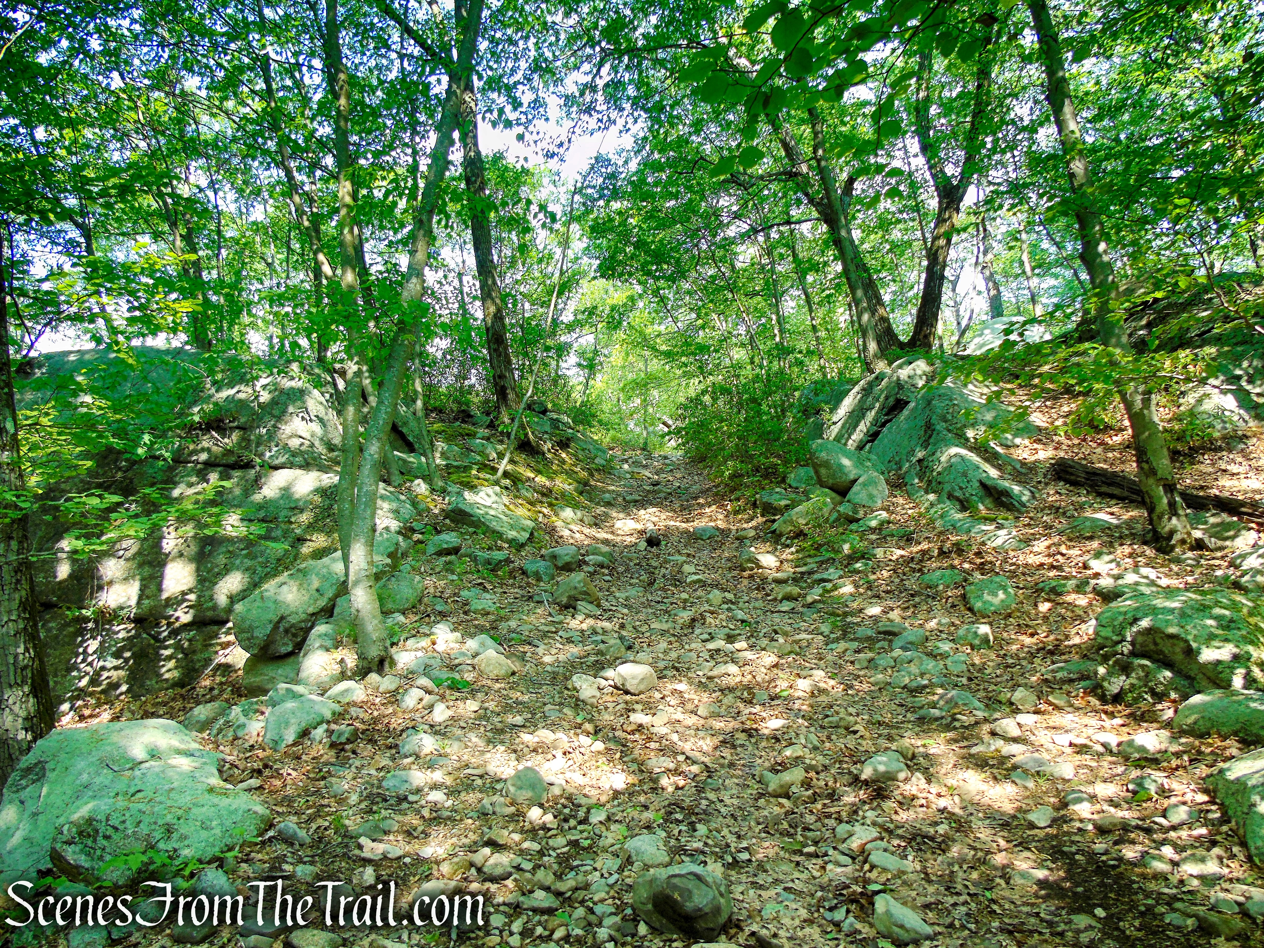 Sherwood Path - Harriman State Park