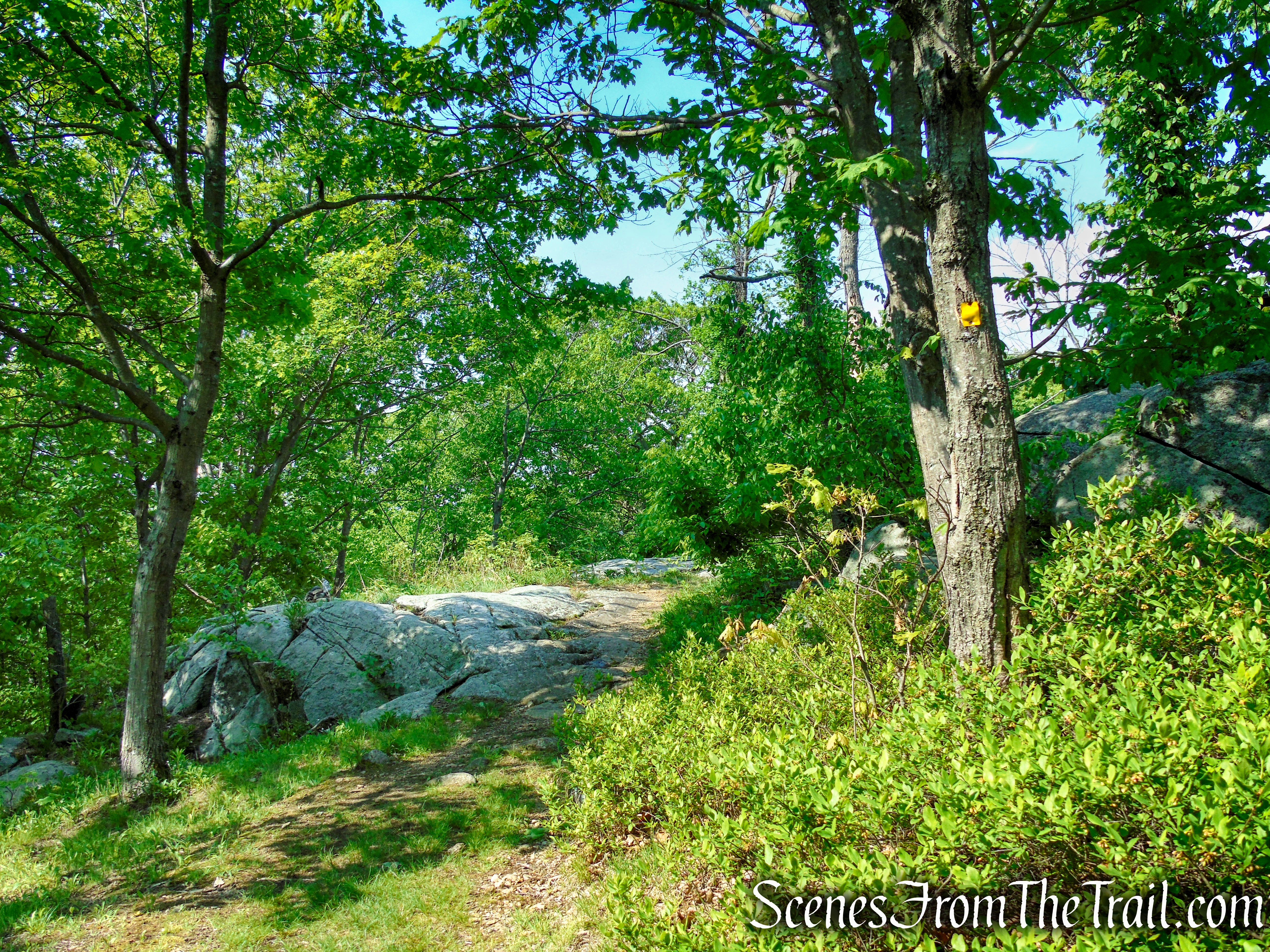 Suffern-Bear Mountain Trail - Harriman State Park