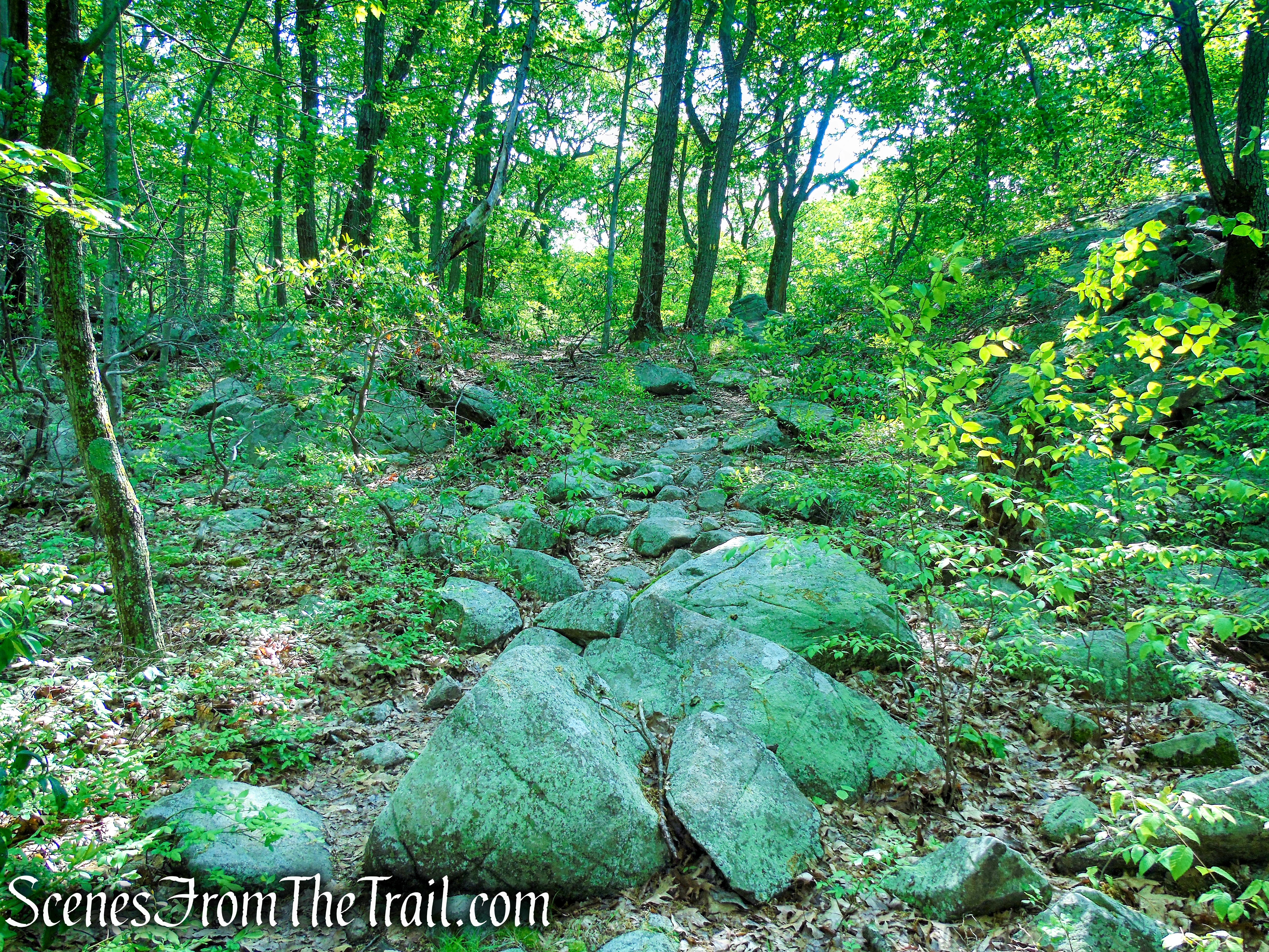Suffern-Bear Mountain Trail - Harriman State Park