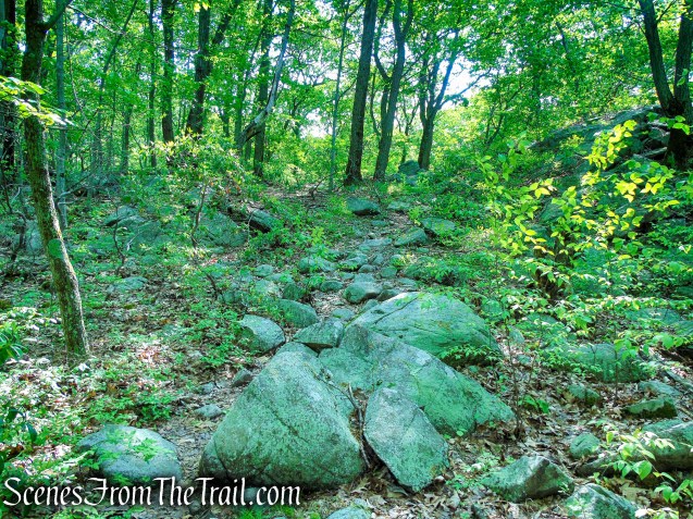 Suffern-Bear Mountain Trail - Harriman State Park