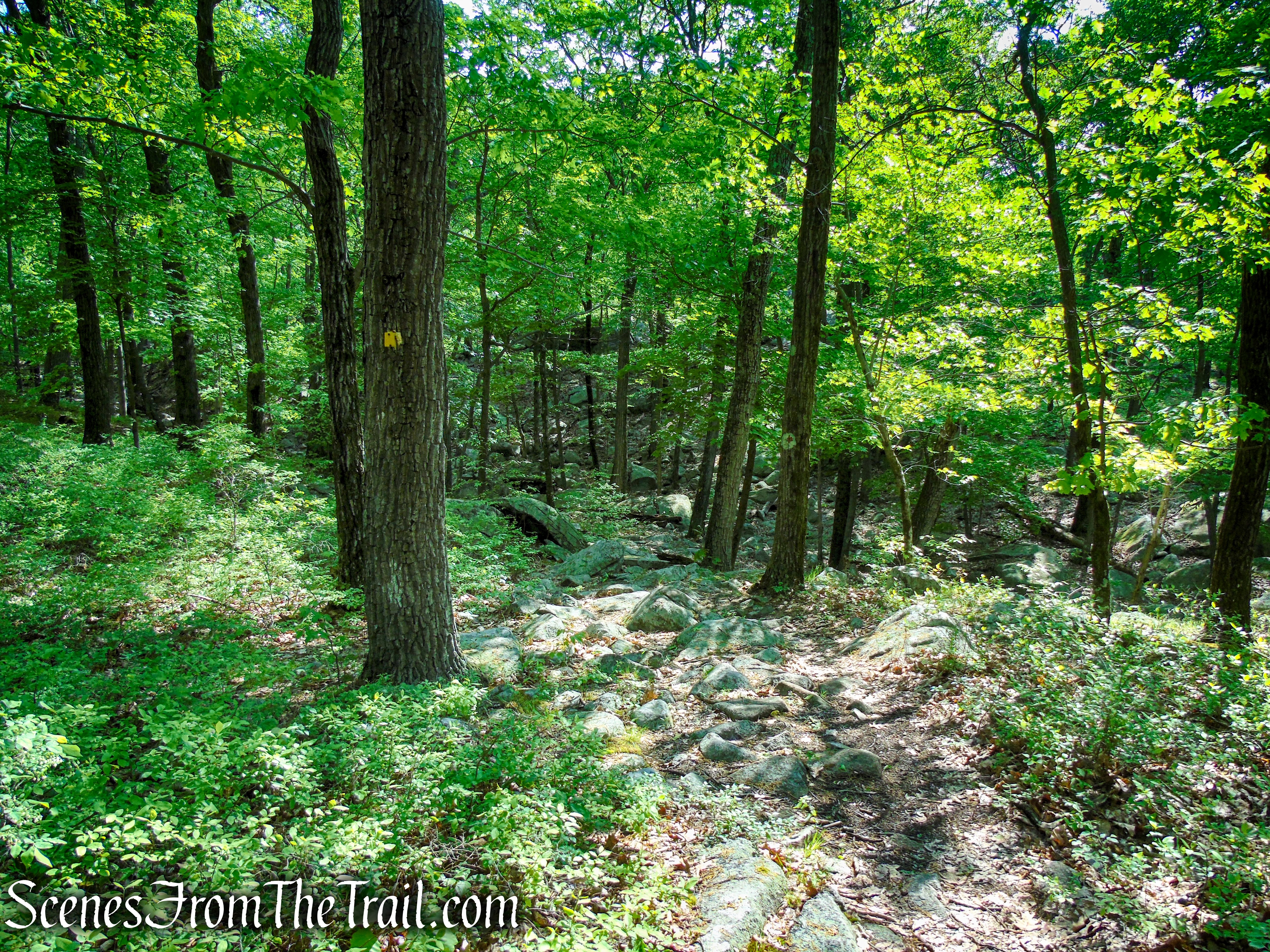 Suffern-Bear Mountain Trail - Harriman State Park