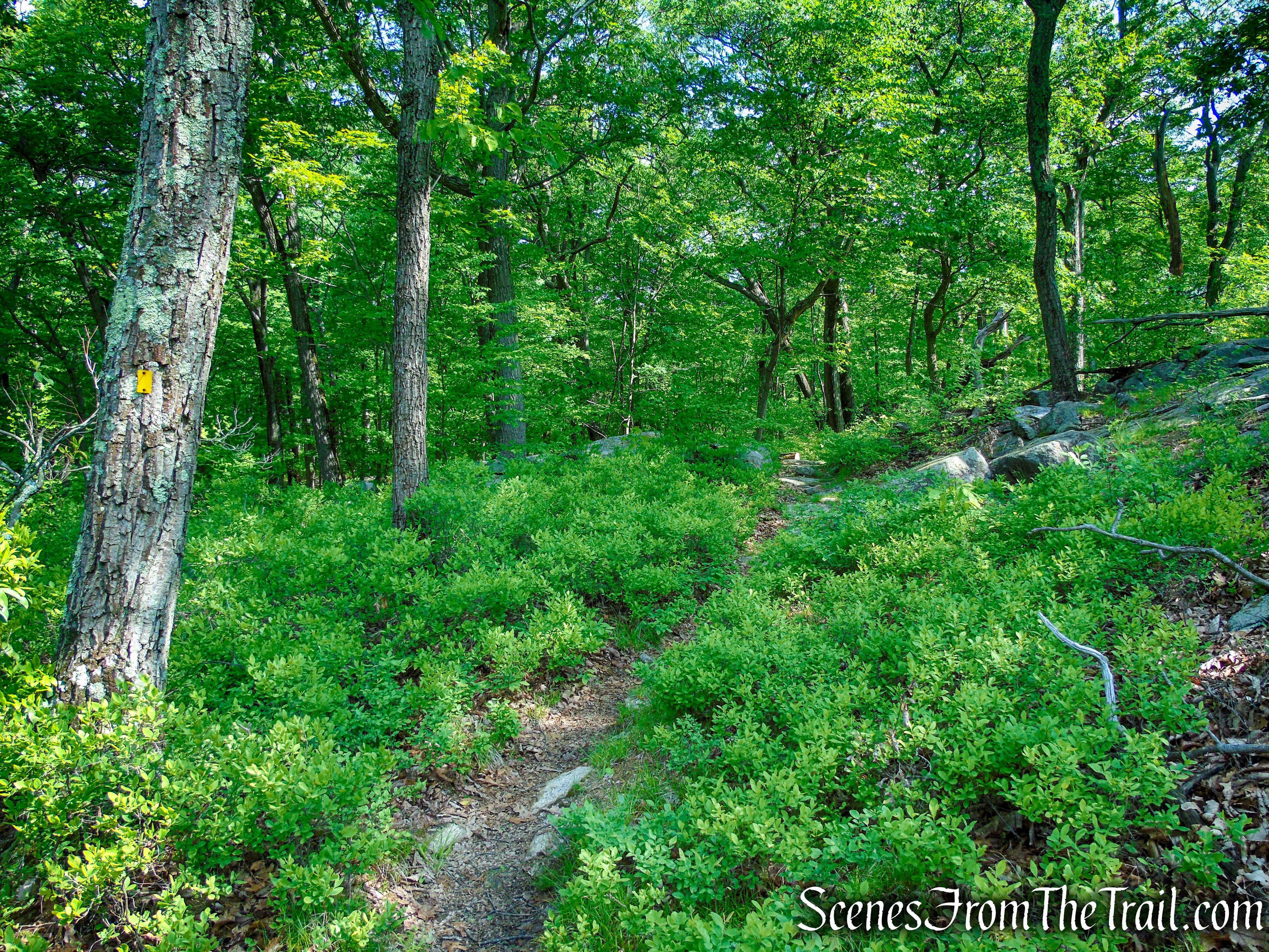 Suffern-Bear Mountain Trail - Harriman State Park