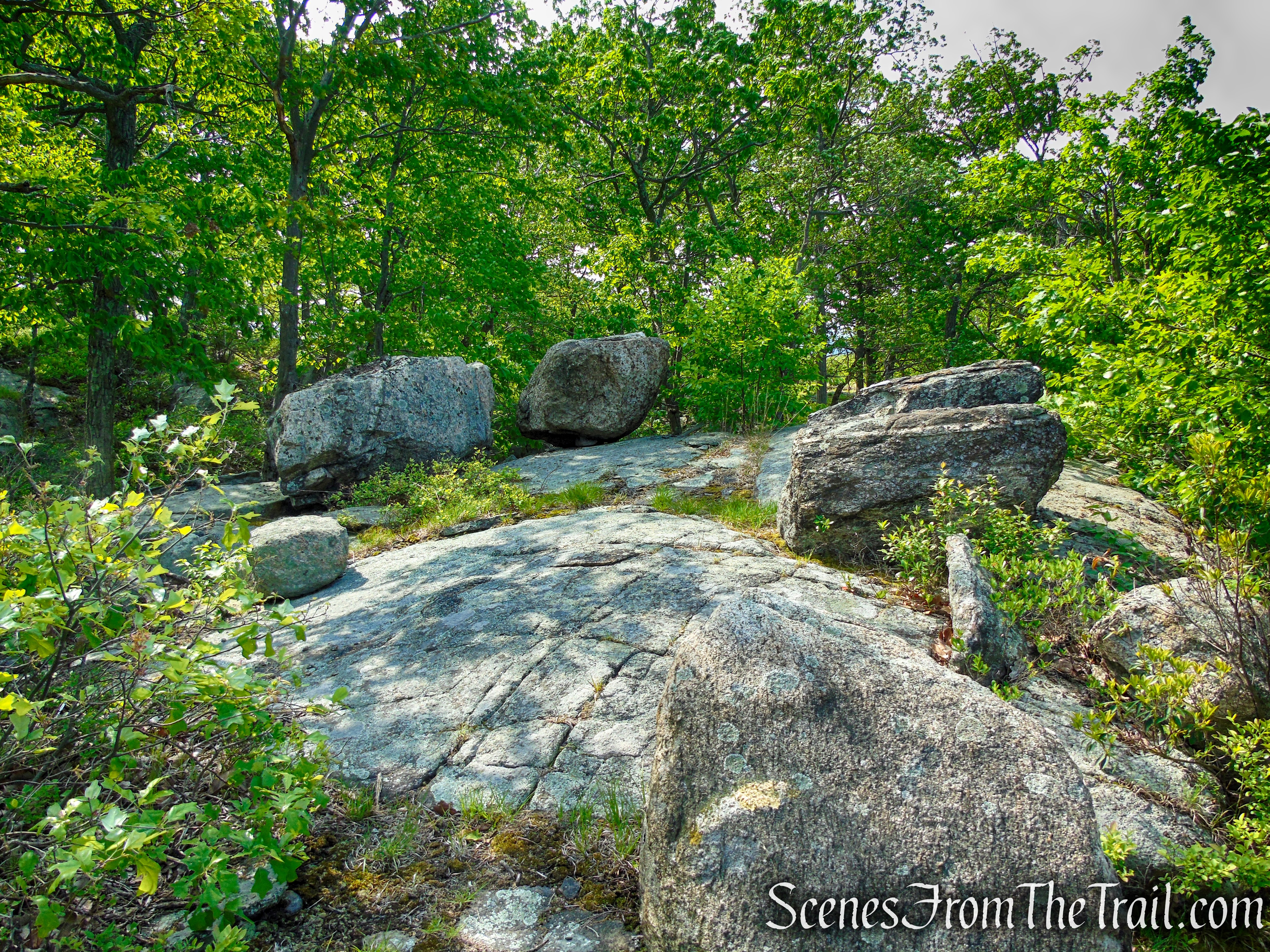 Suffern-Bear Mountain Trail - Harriman State Park
