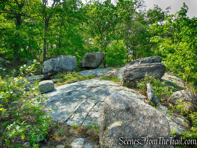 Suffern-Bear Mountain Trail - Harriman State Park