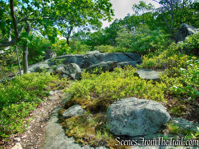Suffern-Bear Mountain Trail - Harriman State Park