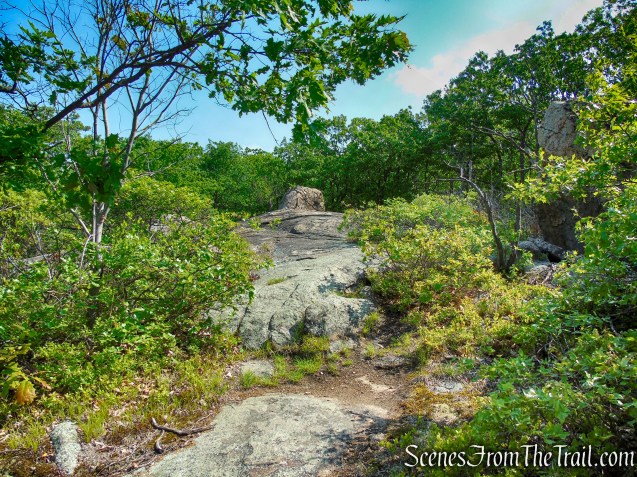 Suffern-Bear Mountain Trail - Harriman State Park