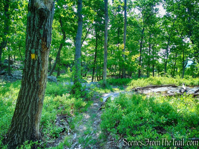 Suffern-Bear Mountain Trail - Harriman State Park