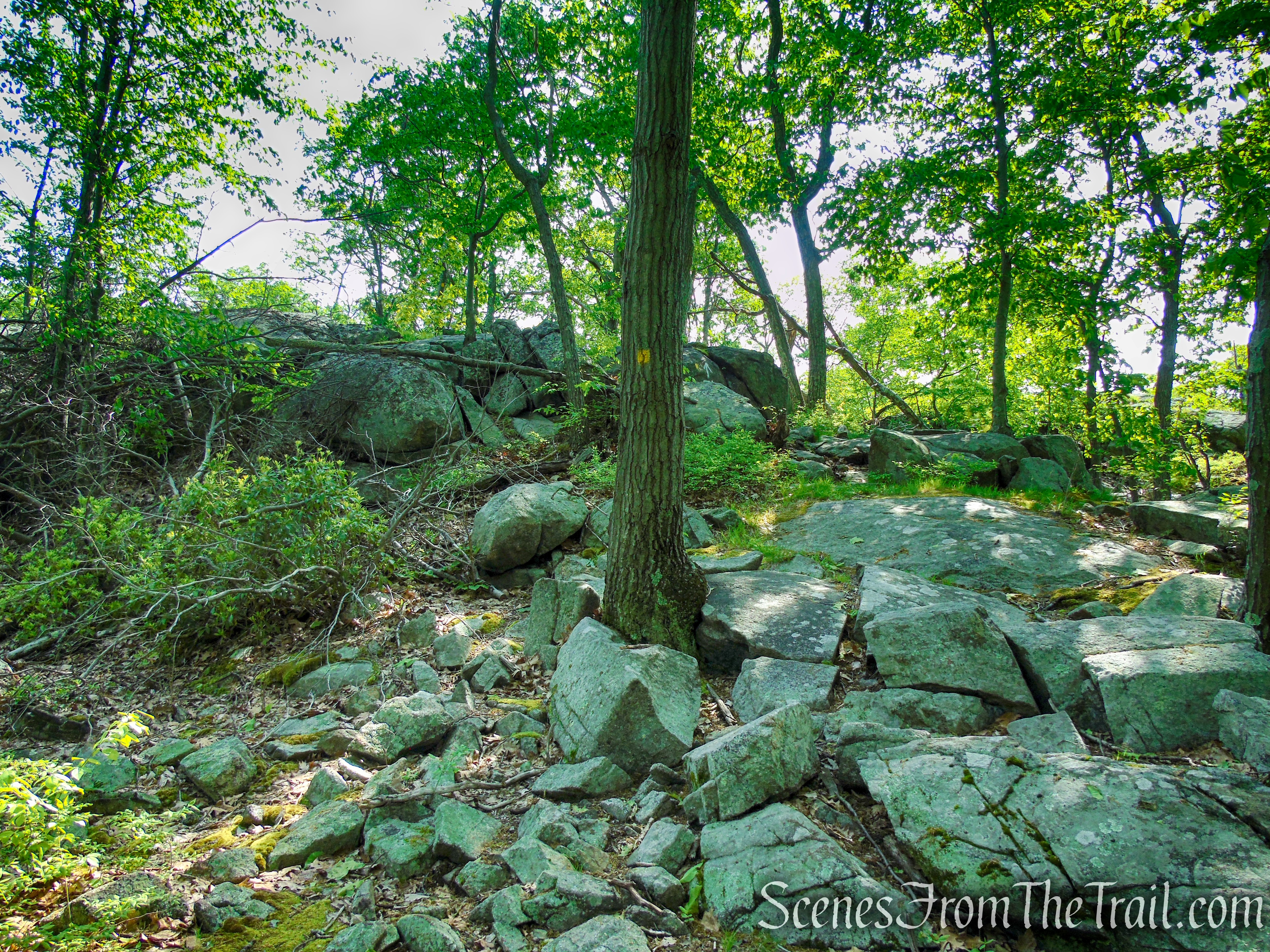 Suffern-Bear Mountain Trail - Harriman State Park