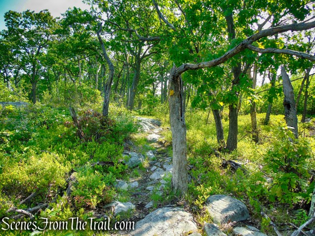 Suffern-Bear Mountain Trail - Harriman State Park