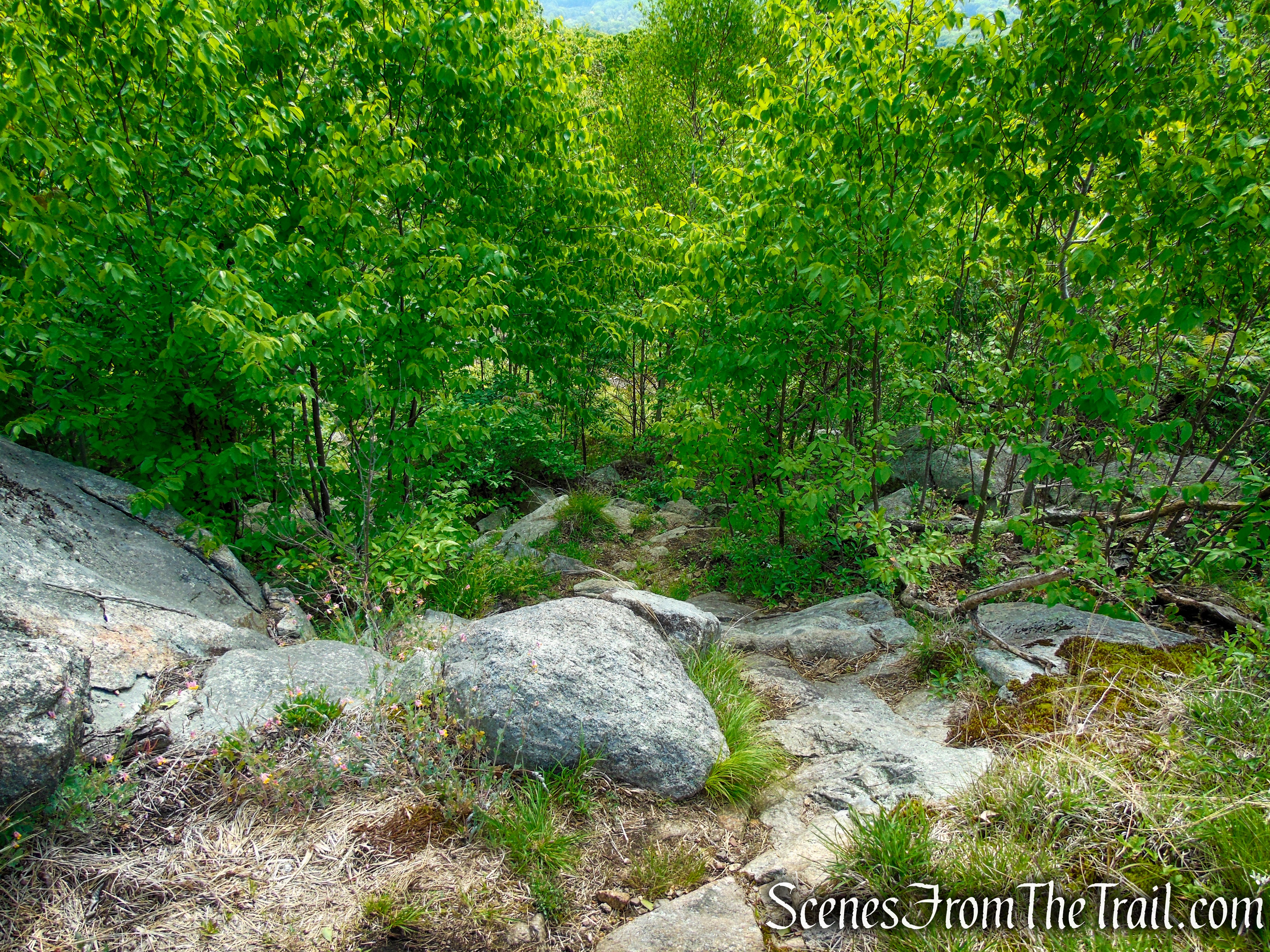 Suffern-Bear Mountain Trail - Harriman State Park