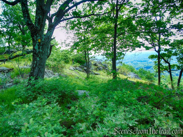 Suffern-Bear Mountain Trail - Harriman State Park