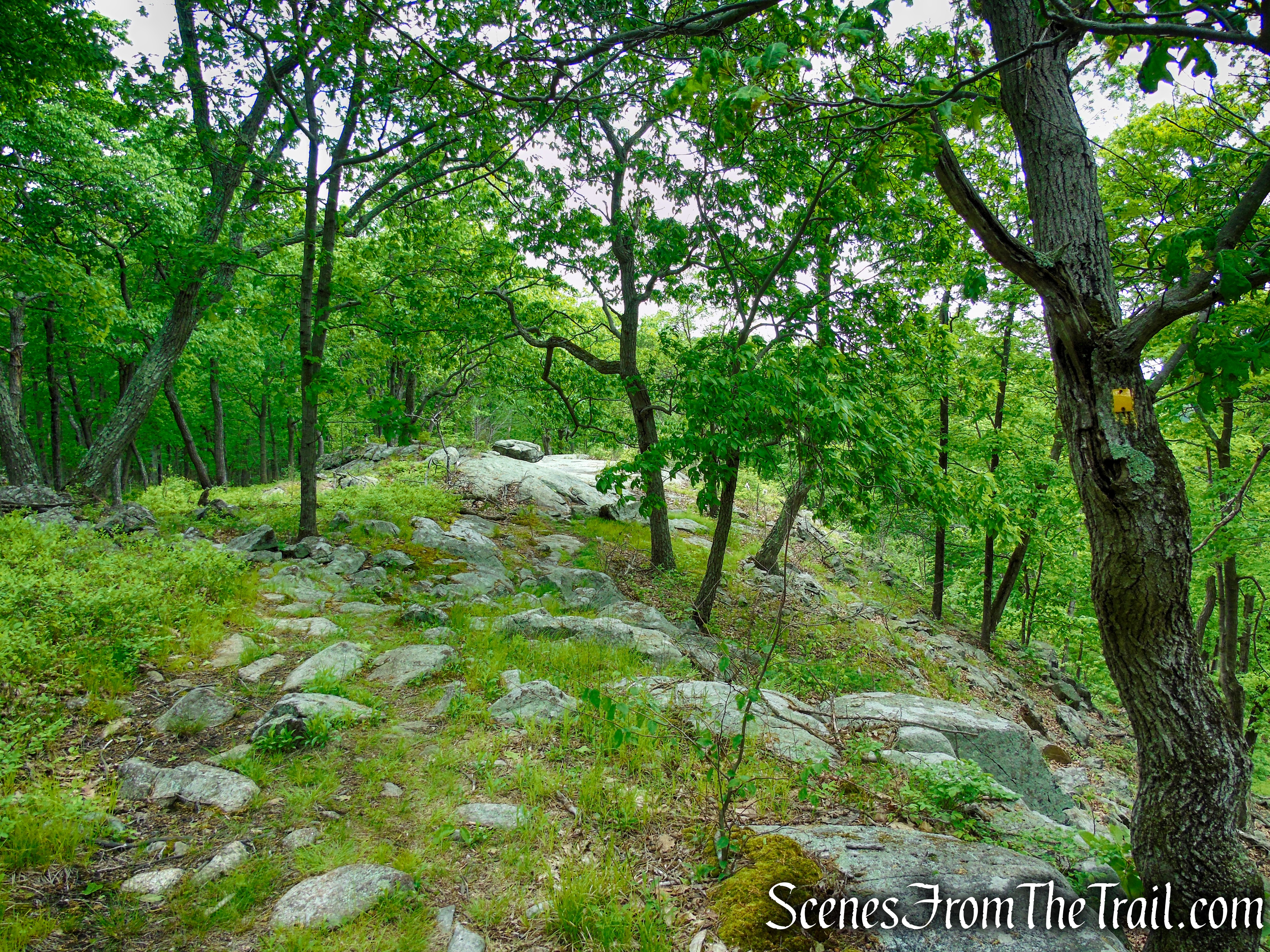 Suffern-Bear Mountain Trail - Harriman State Park