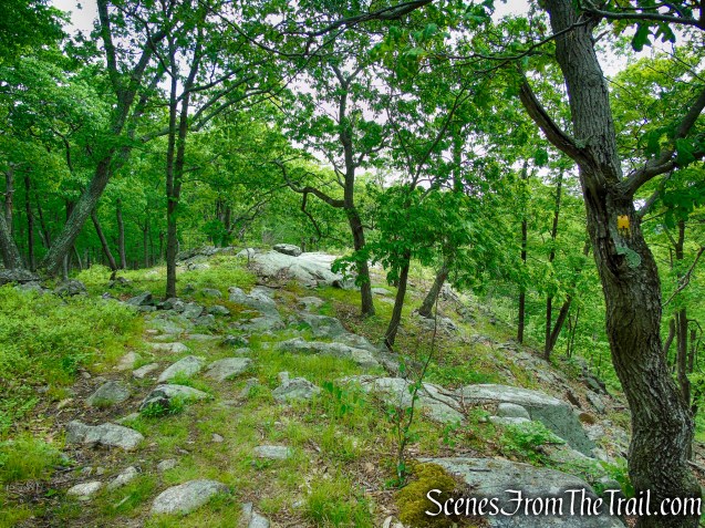 Suffern-Bear Mountain Trail - Harriman State Park