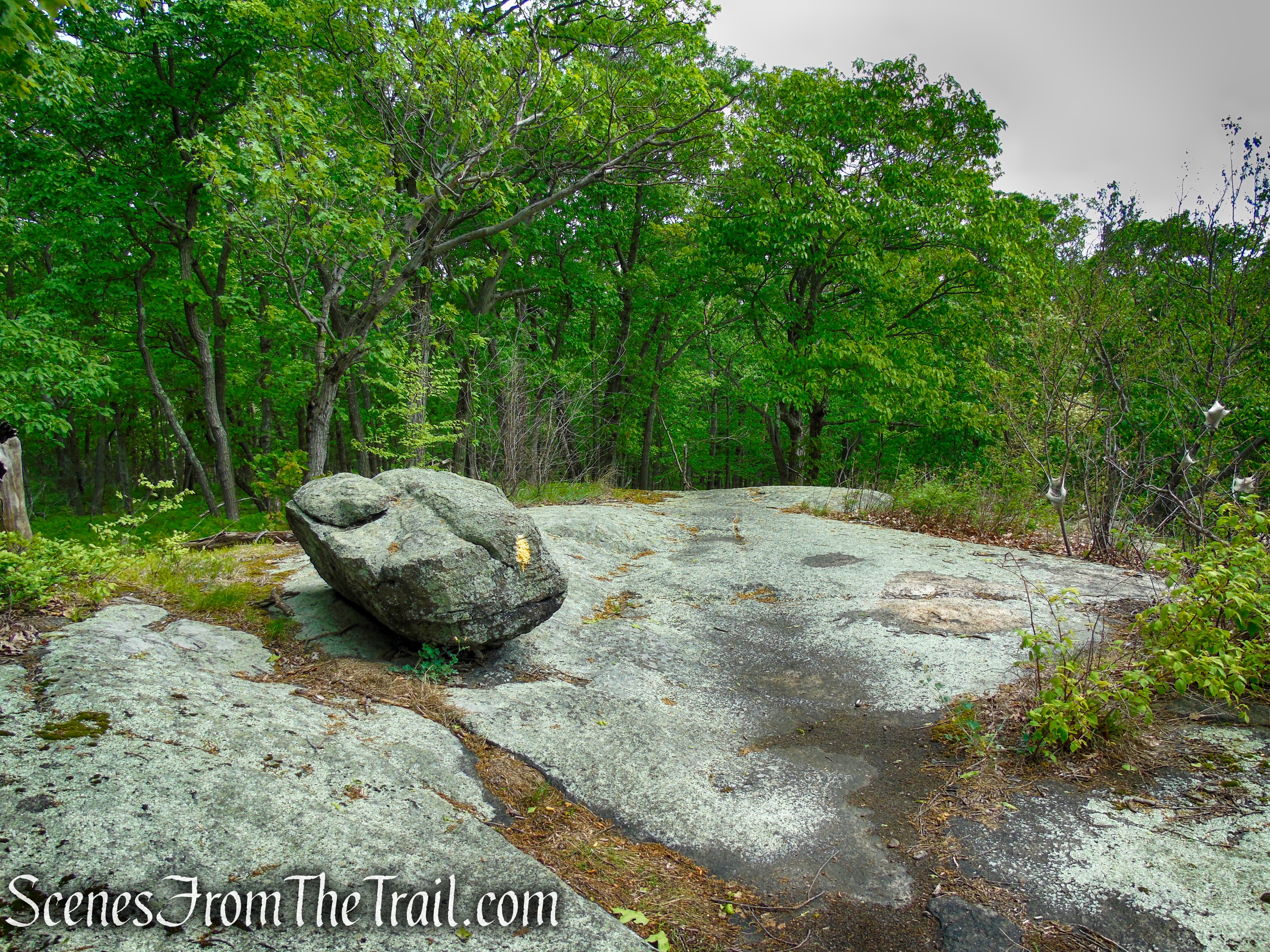 Suffern-Bear Mountain Trail - Harriman State Park