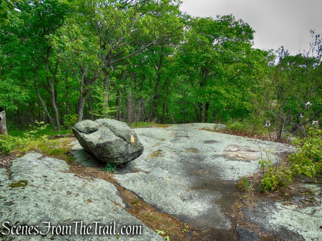 Suffern-Bear Mountain Trail - Harriman State Park