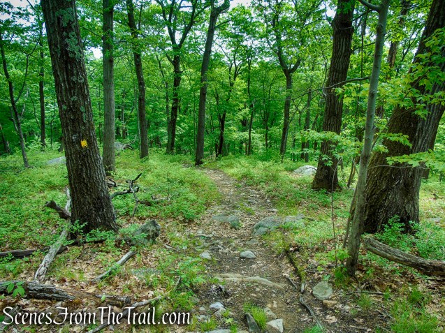 Suffern-Bear Mountain Trail - Harriman State Park