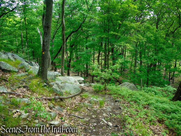 Suffern-Bear Mountain Trail - Harriman State Park