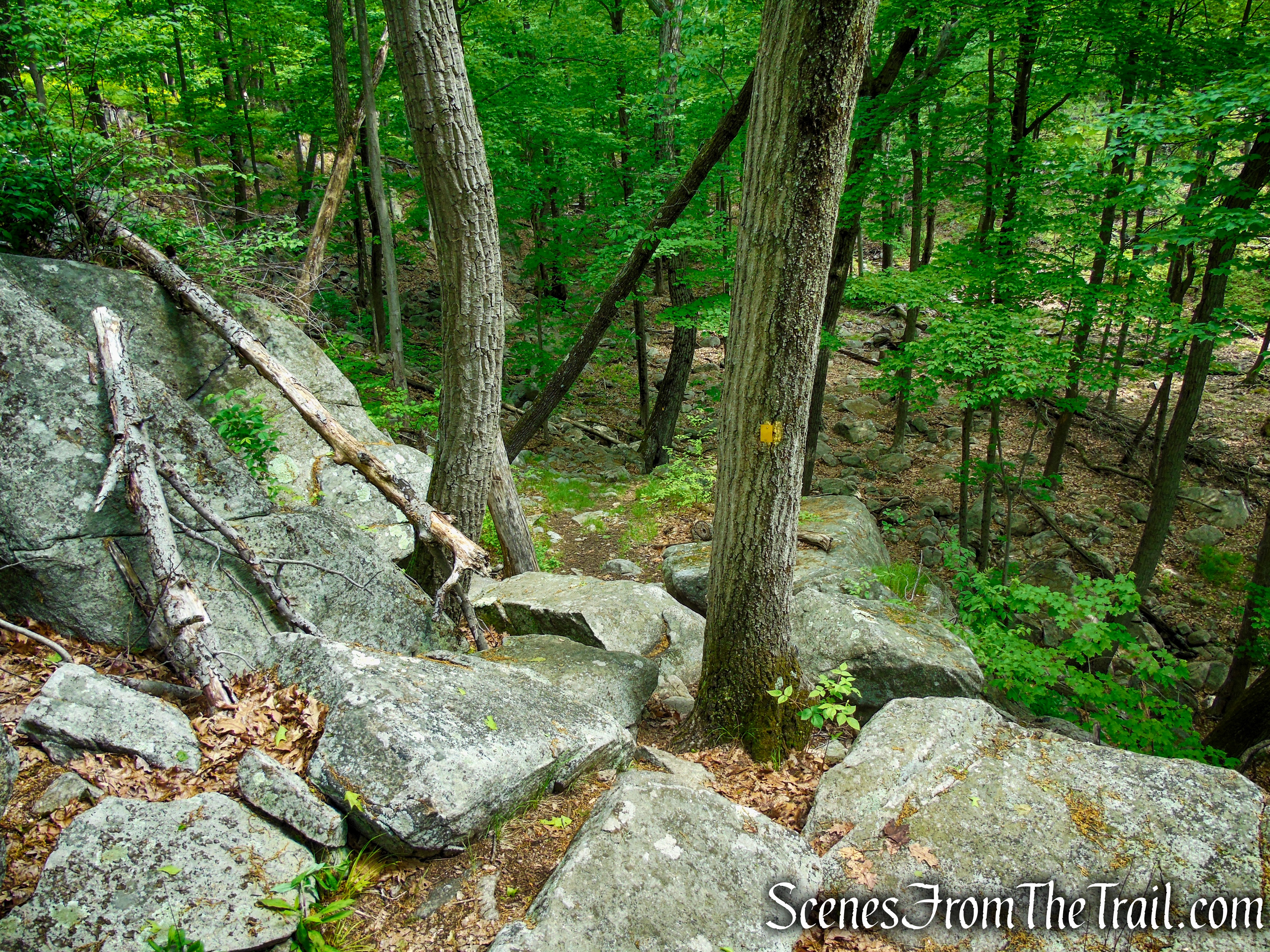 Suffern-Bear Mountain Trail - Harriman State Park