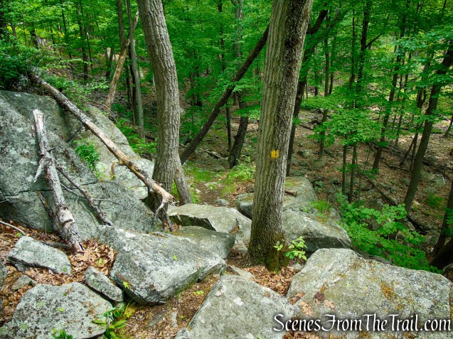 Suffern-Bear Mountain Trail - Harriman State Park