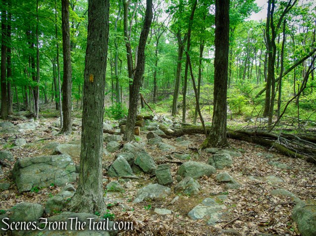 Suffern-Bear Mountain Trail - Harriman State Park