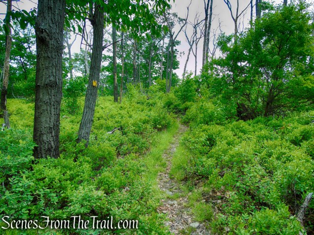 Suffern-Bear Mountain Trail - Harriman State Park