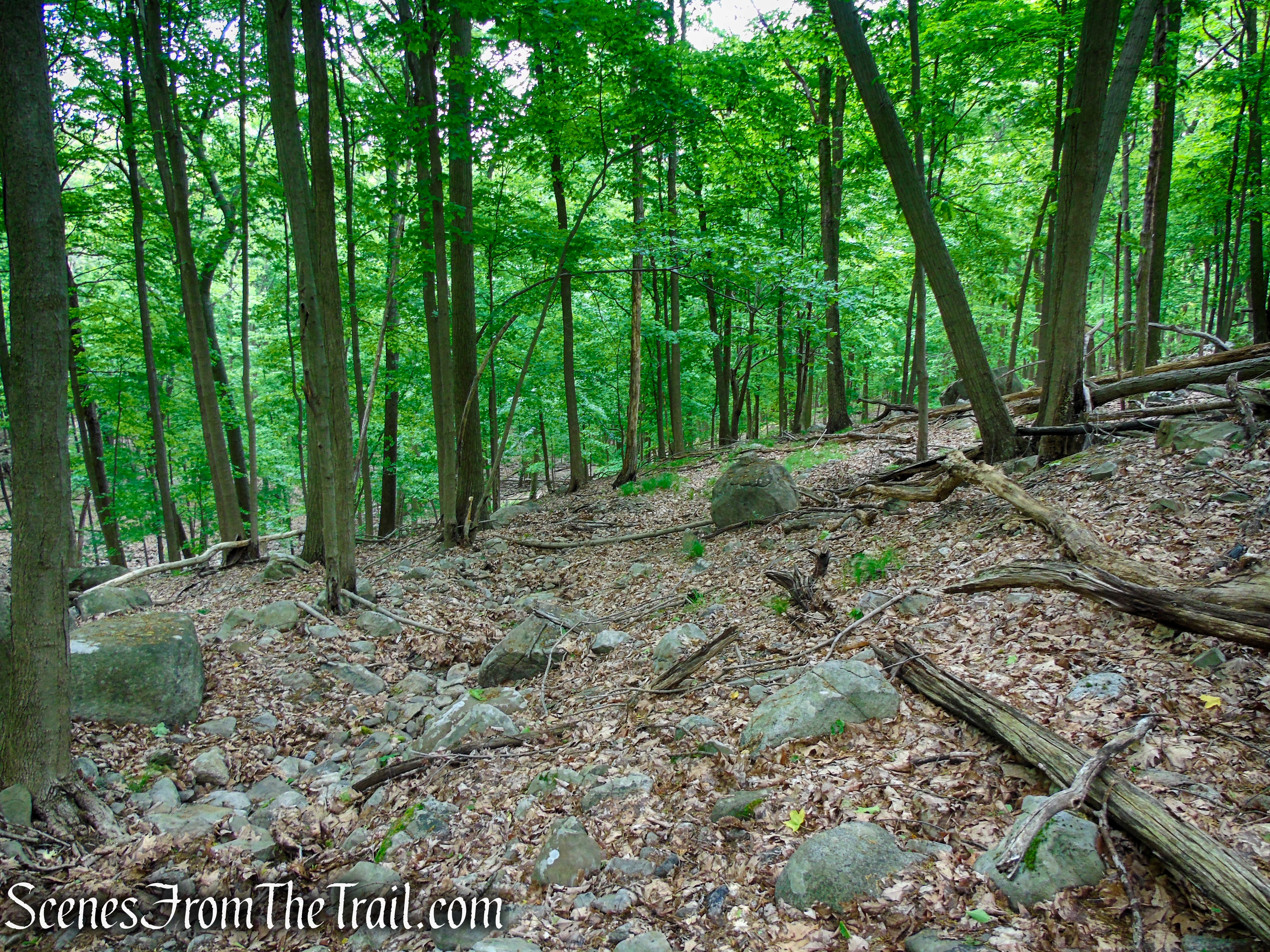 Pittsboro Trail - Harriman State Park