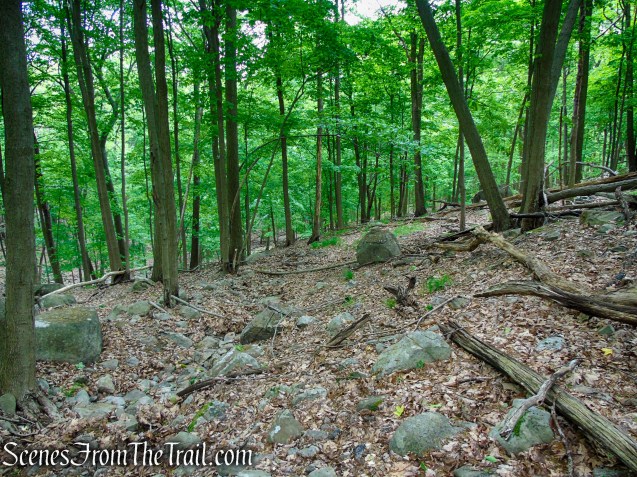 Pittsboro Trail - Harriman State Park