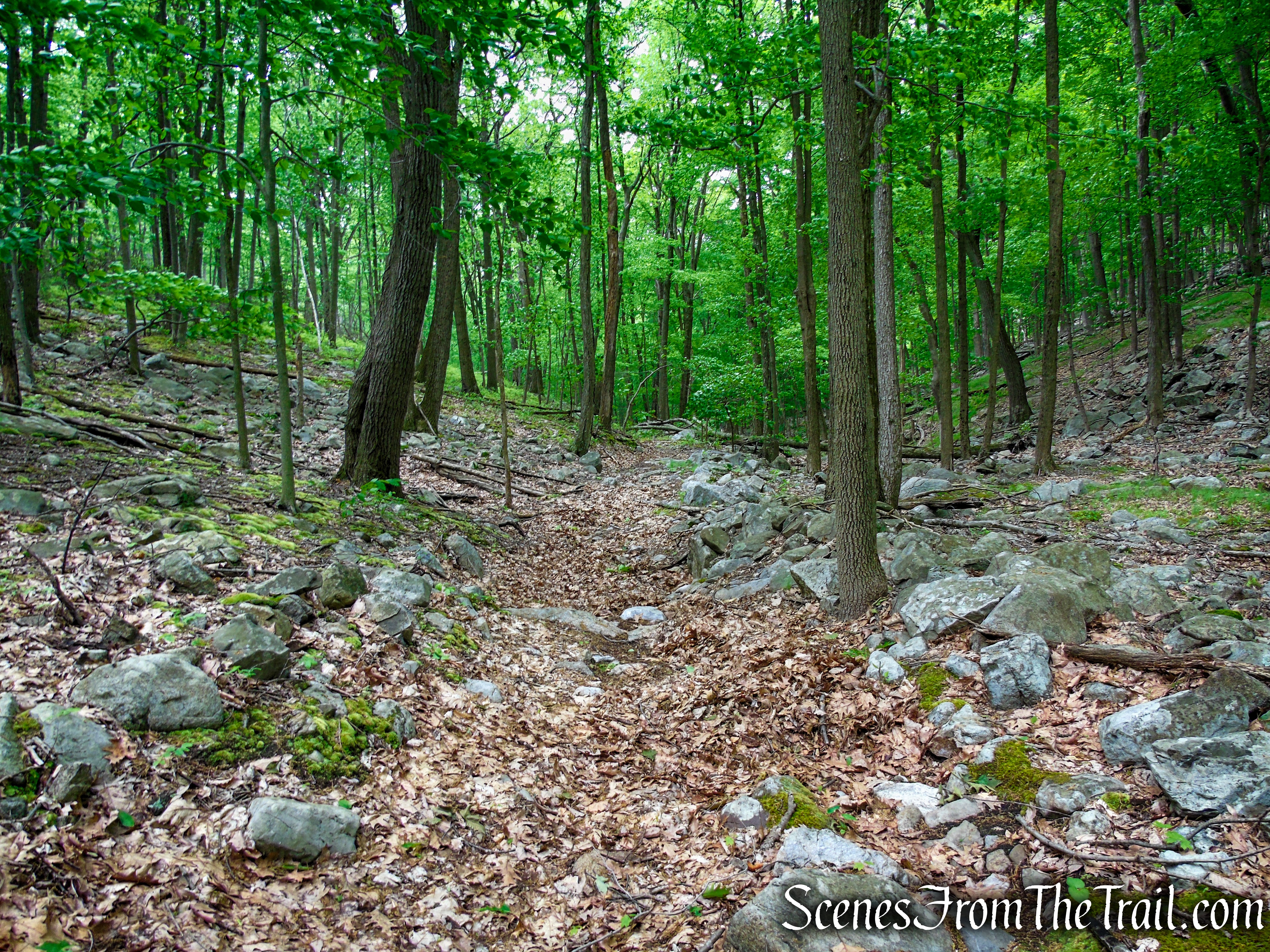 Pittsboro Trail - Harriman State Park