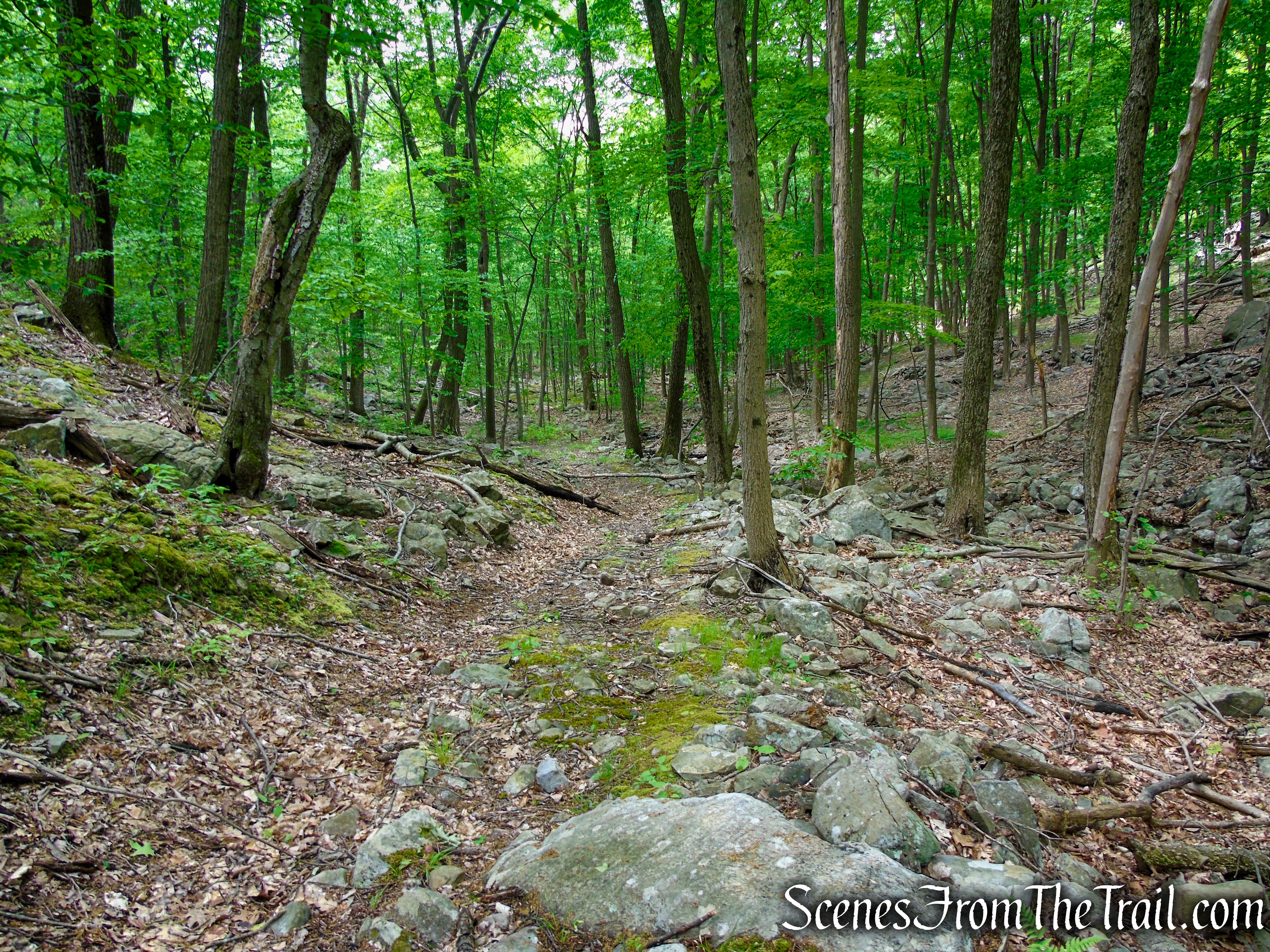 Pittsboro Trail - Harriman State Park