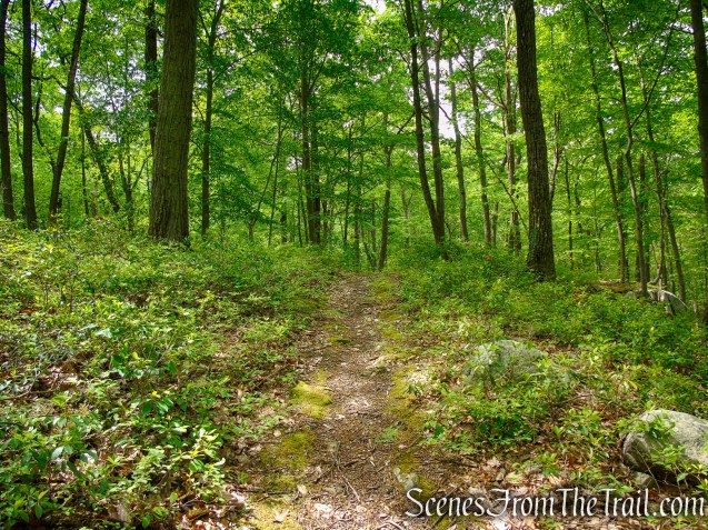 Pittsboro Trail - Harriman State Park